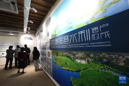 水清岸綠民富 綠色太湖譜新篇——新時代長三角區域文化場館管理服務的創新實踐